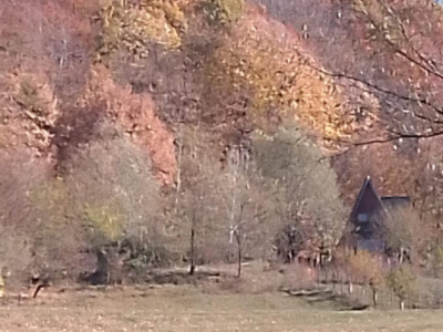 NOU / INVESTITIE/ PRETABIL CASA DE VACANTA