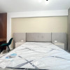 NOU /SUPERB /  PRIMA INCHIRIERE / COMPLET MOBILAT SI UTILAT thumb 18