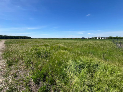 LOT TEREN INTRAVILAN / INVESTITIE / PRETABIL CONSTRUCTIE CASA VACANTA/LOCUIT